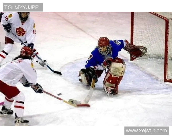 冰球比赛中守门员扑救选择行为与进攻模式对比 冰球比赛中守门员扑救选择行为与进攻模式对比