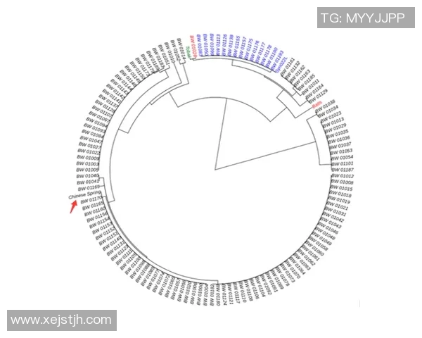 世界级排球比赛发球技术演化趋势与未来发展方向研究